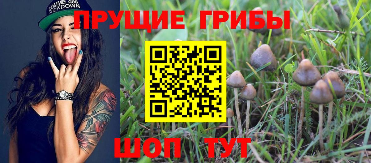Галлюциногенные грибы мухоморы Комсомольск-на-Амуре